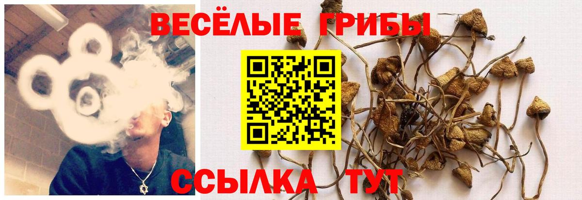Псилоцибиновые грибы мухоморы  Вход с VPN  Джанкой 